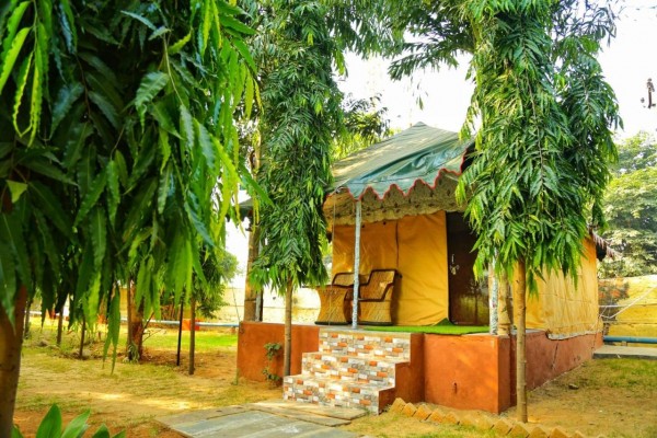 The Jungle Lap, Sariska